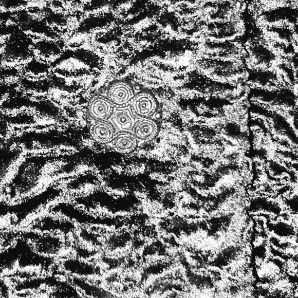 J. Jill Jackets & Coats Jjill Faux Persian Lamb Swing Coat Poshmark